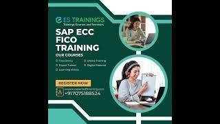 SAP ECC FICO with Expert Soft Training!