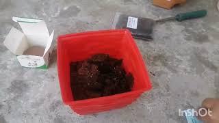 gift one tree  planting kit