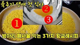 오골계병아리 폐사율 막는 3가지 황금레시피 방법3 Ways to Reduce Chick Death Rate(육추기로 옮기면 맨 먼저 주는것?)