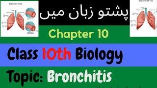 Bronchitis | Class 10th biology in pashto | Home of biology