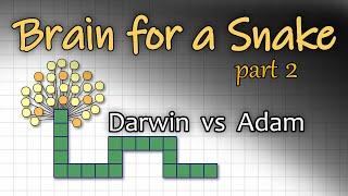 Brain for a Snake. Part 2. Darwin vs Adam