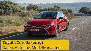 Toyota Corolla (2019): Daten, zwei Hybridantriebe, Modellvarianten | ADAC