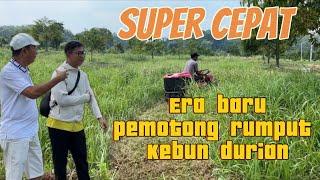 mobil pemotong rumput baru kebun RB