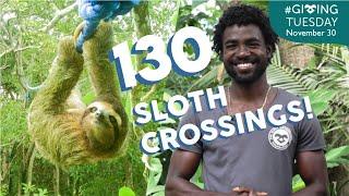 130 Wildlife Canopy Bridges | Meet Deyber! | The Sloth Conservation Foundation