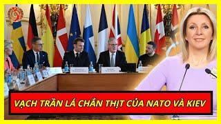 Dùng Dân Làm Lá Chắn Thịt: EU Và NATO Muốn Gì Ở Zelensky | Kiến Thức Chuyên Sâu