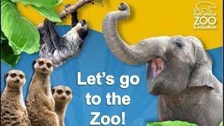 Attractions - Visit Point Defiance Zoo & Aquarium in Tacoma, WA | Seattle