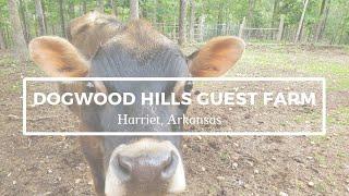 Dogwood Hills Guest Farm, Arkansas