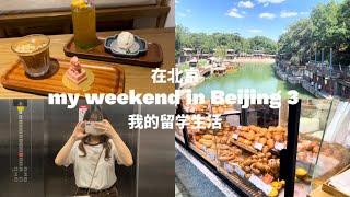 [Vlog] my weekend in Beijing3/我在北京的留学生活/中国留学/留学生の週末/颐和园