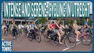 UTRECHT: From Intense to Serene, A Busy Cycle Path Scene from a Pedestrian's Point of View