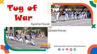 Tug of War | Ayesha House Vs Zainab House | Sports Day at Modernage | Tug of War Competition