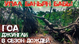 58. ВЛОГ ИНДИЯ. В Гоа УПАЛ легендарный БАНЬЯН БАБЫ «Баньян Битлз» Нарко баньян в Арамболе