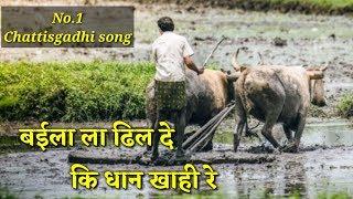 ब‌ईला ला ढिल दे कि धान खाही रे CG song || chattishgarhi song baila la dhil de ki dhan kahi re