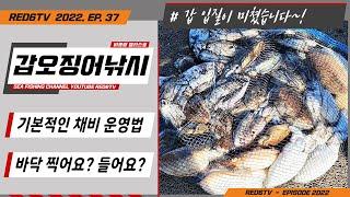 갑오징어낚시 - 기본적인 채비 운영법 (바닥 찍어야해요? 들어야해요?)