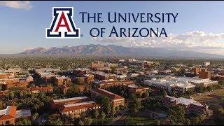 Join our University of Arizona Wildcats Family