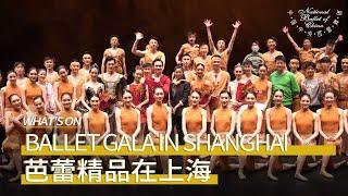 NBC in Shanghai: A Passionate Performance of Ballet GALA | National Ballet of China