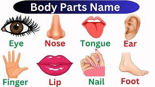 45+ Body Parts Name || Parts of the body || Human Body Parts ||