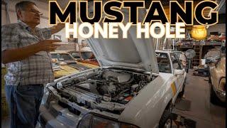 I found THE “Honey hole” of Foxbody Mustangs