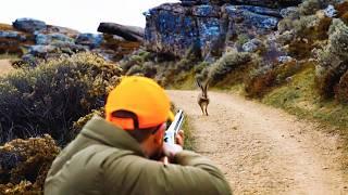 Hunting Partridges and Hares Season 2024/2025 PART 3-KHEMISSET -TIZITIN