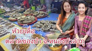 #ของป่า ตลาดห้วยเดื่อ #จังหวัดหนองบัวลำภู มีทุกอย่าง #อาหารพื้นบ้าน #อาหารตามฤดูกาล #เลาะตลาดตลี