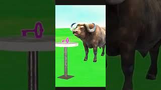 animals right key select #animals #animation #buffalo #shortvideo #youtubeshorts #shorts #cartoon