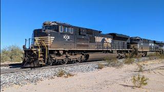 Hard Charging Thoroughbreds Racing Across The Desert At 70 MPH -- Aztec, Arizona December 10th, 2024