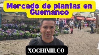 Mercado de plantas en Cuemanco, Xochimilco