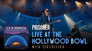 Joe Bonamassa - "Prisoner" - Live At The Hollywood Bowl With Orchestra