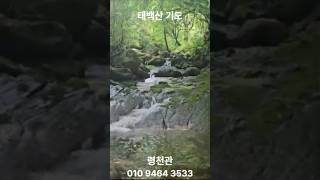 태백산기도. 신령님의 명기서기받고  신도분들 재수보시고 소원성취하세요.