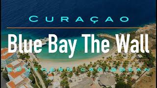 The Wall Dive Site at Blue Bay Curacao | Curacao Dive Guide | Dive Travel Curacao