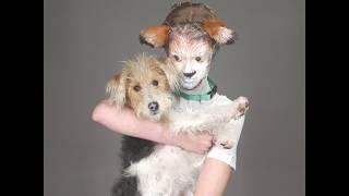 Halloween Makeup: Brit + Co Employees Get Transformed Into Their Pets