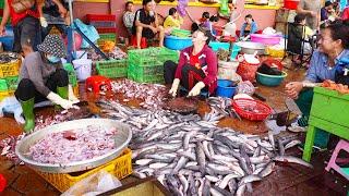 Morning Fish Market At 7:00 AM, Prek Phnov Along National Road No. 5 Ep.1