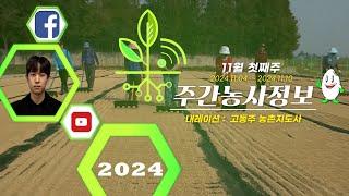 [ 주간농사정보 ] 11월 첫째주 (2024. 11. 04. ~ 11. 10.)