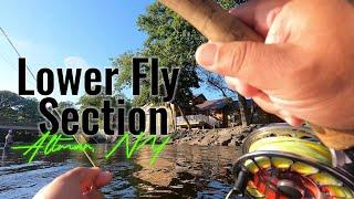 Fly-Fishing the Salmon River Lower Fly-fishing section in Altmar NY.  This is Pt 3 of 3