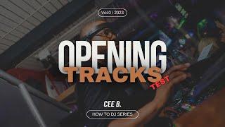 How To Become A DJ (Opening Tracks Test) - DJ CEE B