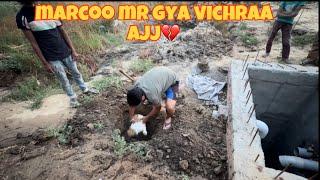 marcooo mr gya vichraa ajj 