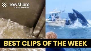 Trapped In A Flooding Elevator - Best Clips Of The Week #8