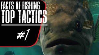 TOP TACTICS #1 - Dave Mercer's Facts of Fishing THE SHOW Season 13 Full Episode