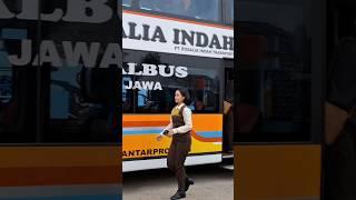 CANTIK DAN IMUT BANGET#pramugari #bus #rosaliaindah #busmania #transportasi #viral #fyp #shorts