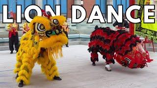 Lion Dance Performance in Chinatown San Francisco 2024