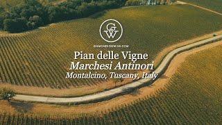 Antinori's Pian delle Vigne - Montalcino