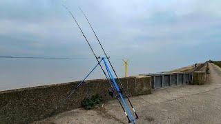 Continuing the Cod hunt on the Humber