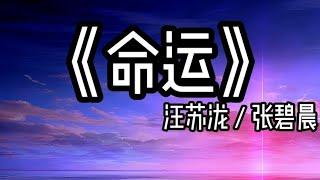 【循环歌曲】《命运 (Live版)》 “我属于你的注定