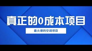 真正的0成本0投资项目，无需任何垫资即可日入2000+，当下最火风口项目教学