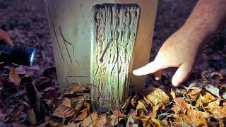 INCREDIBLE FIND! RARE WOODEN GRAVE MARKERS FOUND IN ROADSIDE CEMETERY! Taylor Cemetery