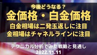 【金価格・白金価格】今後どうなる？白金相場は二発玉返しに注目、金相場はチャネルラインに注目　テクニカル分析でみた見通しと戦略 11月11日（金）