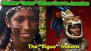 The Sigua / Mexica "Aztec" Warriors enslaved in Costa Rica and Taken to Jamaica / Montezuma's