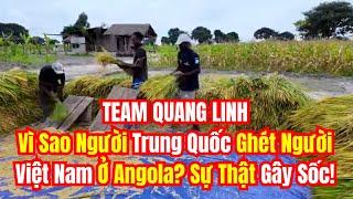 TEAM QUANG LINH Vì Sao Người Trung Quốc Ghét Người Việt Ở Angola? Sự Thật Gây Sốc!