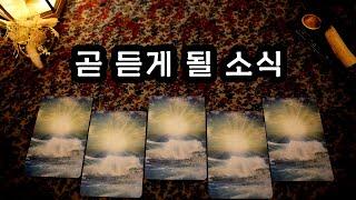 [타로] 곧 듣게될 소식