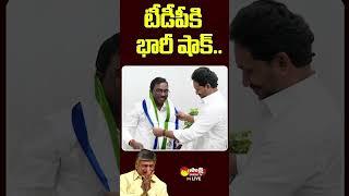 Gollapally Surya Rao Joined YSRCP  #chandrababu #cmysjagan #GollapallySuryaRao #sakshitvlive