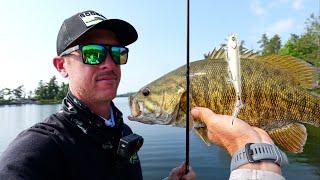 71 BASS ON TOPWATER! Dream Day Fishing Rainy Lake!